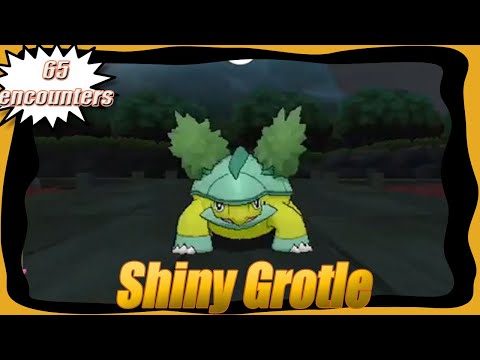 Shiny Grotle Shiny Grotle Pokemon