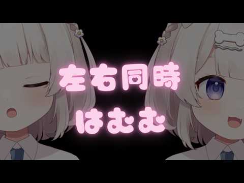両耳同時はむはむ食べるマウスサウンドASMR🐹zero distance hamu Mouthsounds  입소리