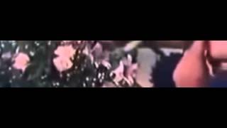Capture 008 clip02