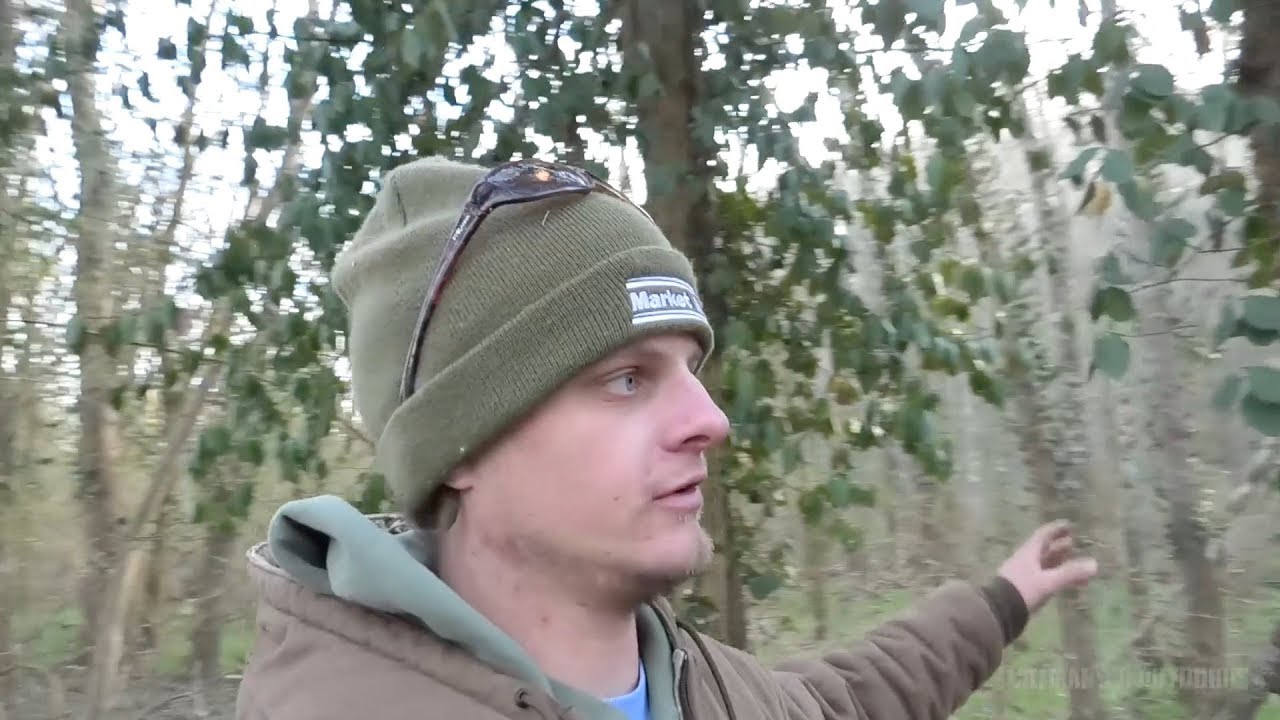 Public Land Shed Hunting & Deer Scouting Tips - March 4, 2019