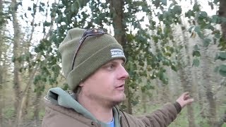 Public Land Shed Hunting & Deer Scouting Tips - March 4, 2019