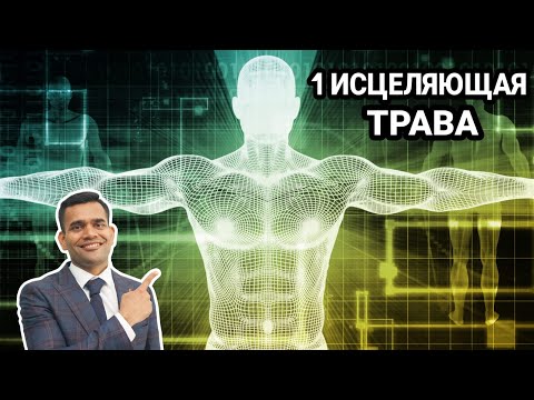 Видео: Как использовать Ашвагандху: 7 шагов (с изображениями)