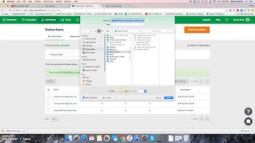 Exporting Subscribers in MailerLite