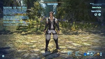 FFXIV Session 1 Pugilist
