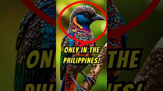 5 Rare Birds That Can Only Be Found In The Philippines