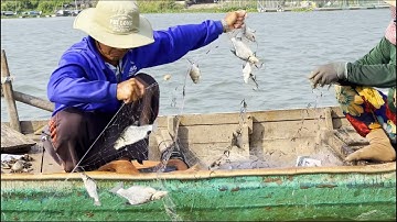 Vợ chồng anh 9 mưu sinh nghề lưới 3 màng trên sông Chợ Vàm - Sông Nước Cửu Long - Nguyễn Hùng