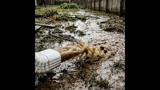 Smart Ways to Fix a Flooded Yard and Route Stormwater Away From Your House Fast ππ‘ Smart Ways to Fix a Flooded Yard and Route Stormwater Away From Your House Fast ππ‘