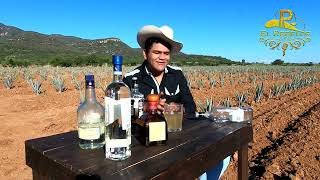 Total Ya Se Fue-Pedro El Rebelde