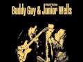 Junior Wells and Buddy Guy - I Can't Get No Satisfaction