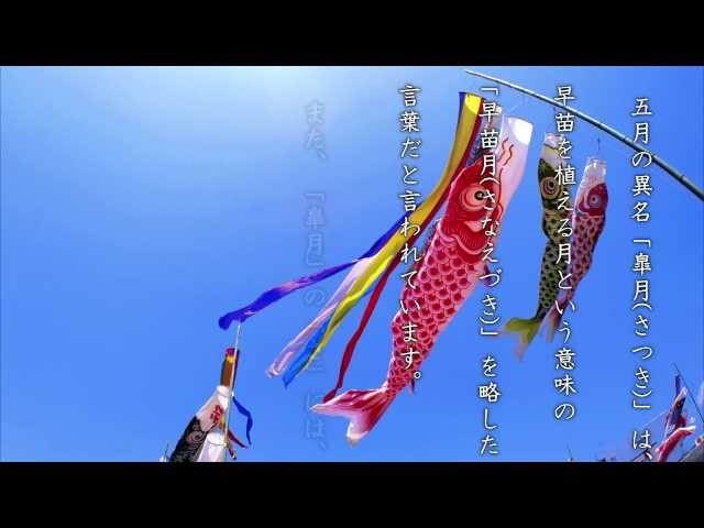 皐月@YouTube YouTube