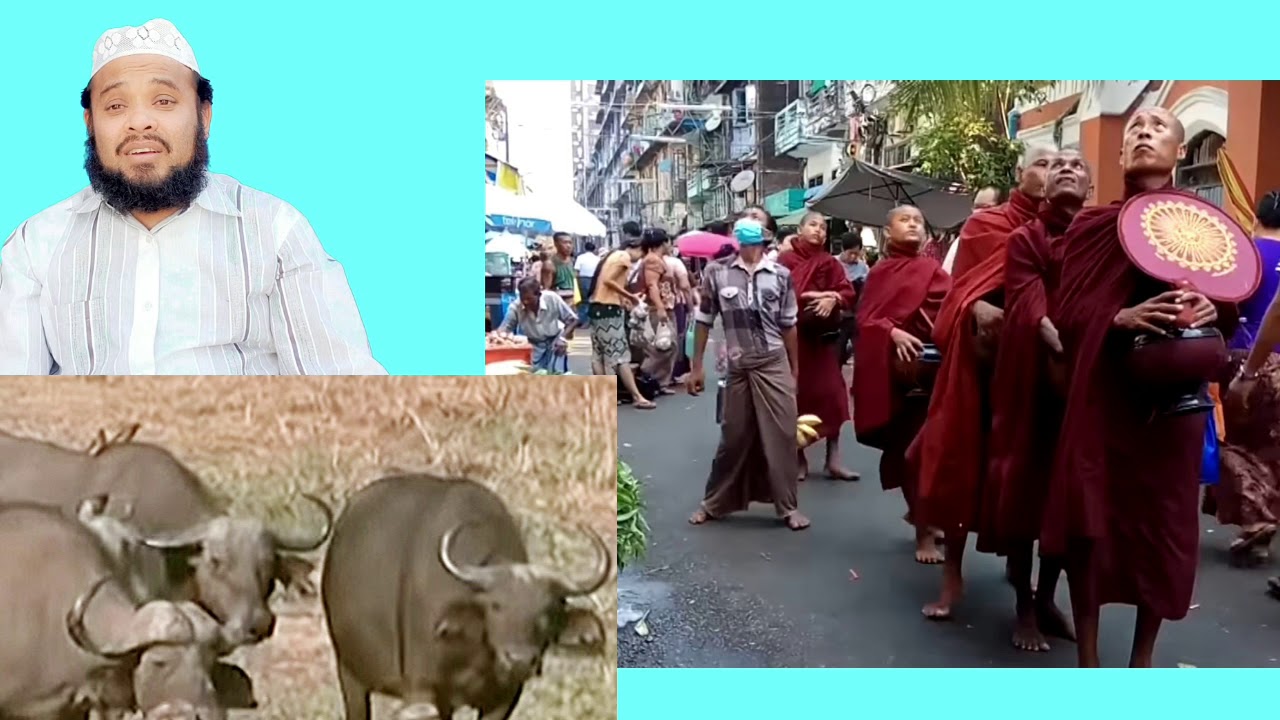 Mukartv Rohingya News 27 April 2020