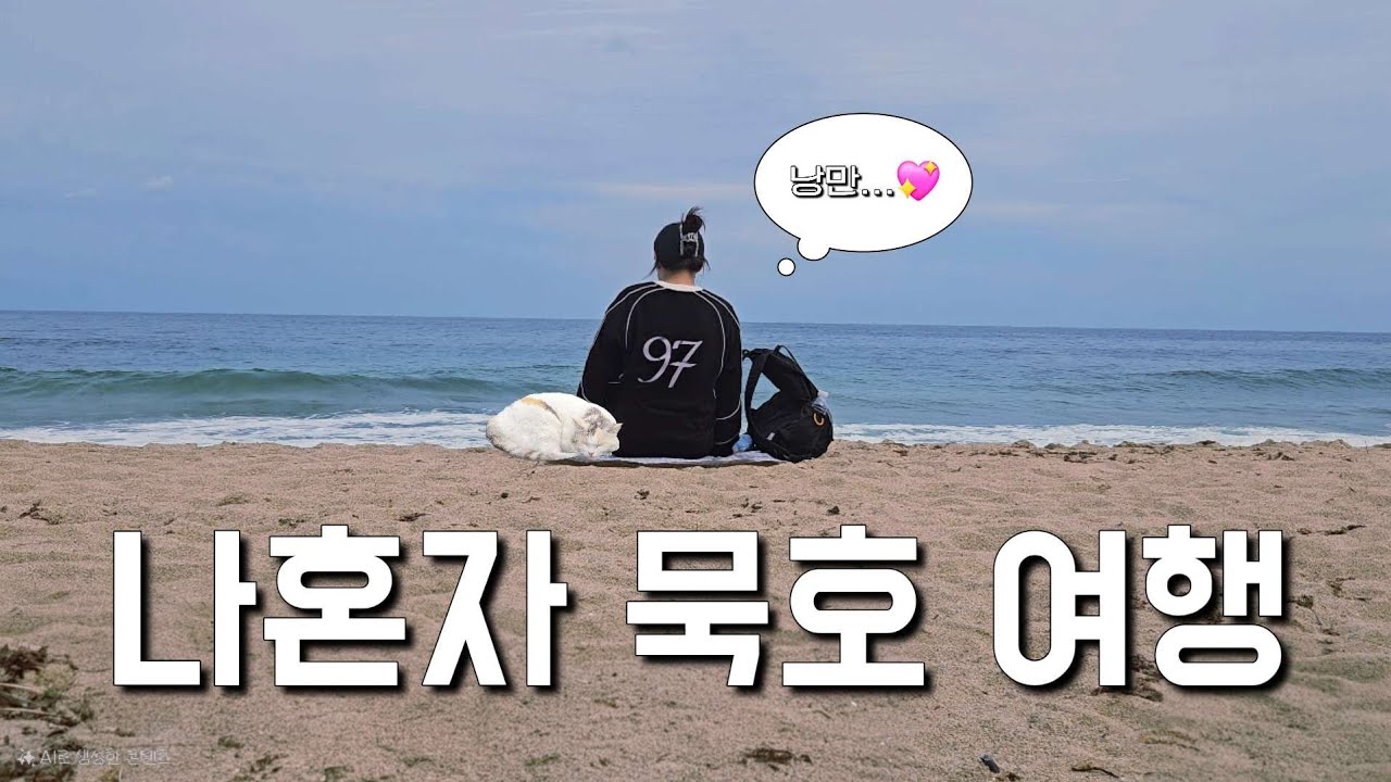 나혼자 묵호 당일치기🏖 | 낭만의 묵호에서 우당당탕을 외치다...✨️🐈 | 맛집•카페•혼술 추천