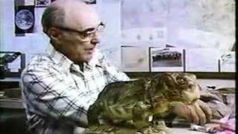 Edwin H. Colbert expl Lystrosaurus connect to Drif...