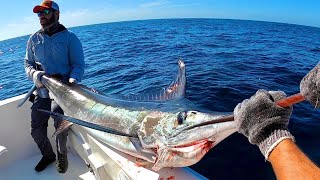 Pesca de Marlin Rayado en Mazatlán! (+100 lbs)