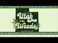 What You Can Expect with Utah Medical Cannabis in 2021 | Utah in the Weeds Episode #41