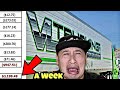 VL Trucking Company Gets Exposed | Numbers Don't Lie (Paystubs And Settlements Exposed)