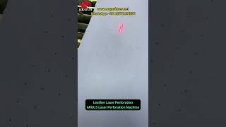 Leather Laser Perforation｜Adjustable Hole Spacing | ARGUS Laser Perforation Machine