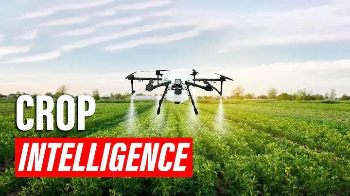 🟢Crop Monitoring & Surveillance with Drones 🚁🌾 | InnoVision Tech