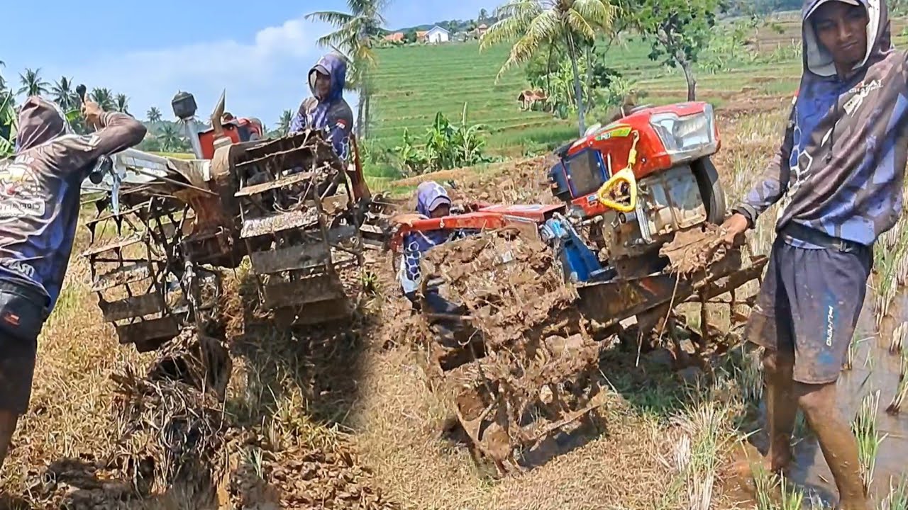 Dua traktor tetap semangat walau cuaca panas