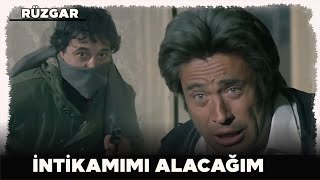 Rüzgar Türk Filmi Deli Ormanlı, Bekirin Peşinde