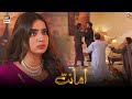 Sar Ke Bal Aaoge Tum, Aur Maafi Mango Ge.... #Amanat Episode 12 BEST SCENE