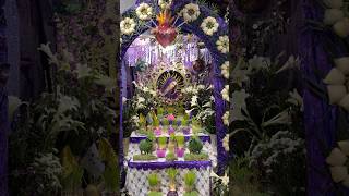 Altar de Viernes de Dolores en OAXACA 💜🤍 | #frankcoronado #oaxaca