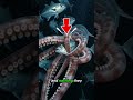 "PHANTOM OF THE DEEP"The Most Mysterious Giant Ever to Haunt the Ocean