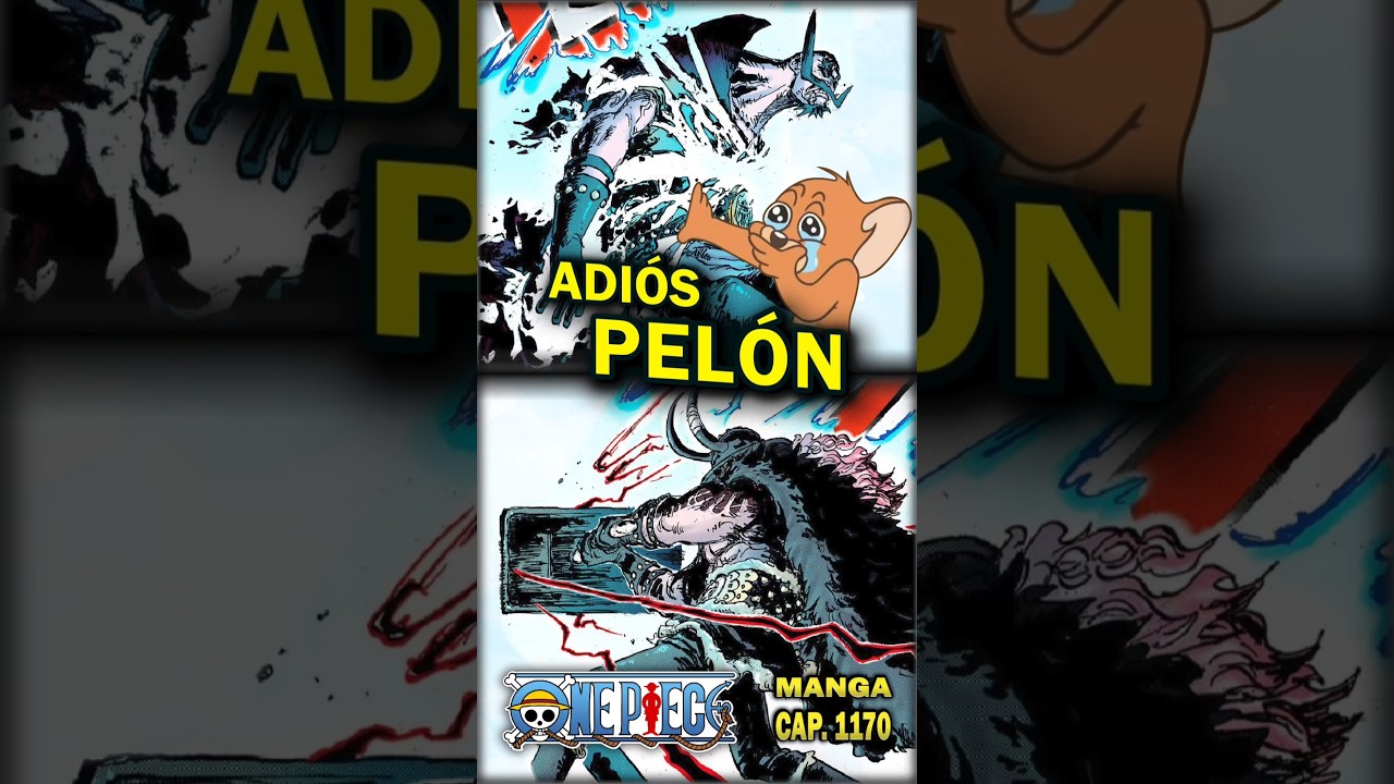 One piece cap. 1170 | ADIOS PELÓN 