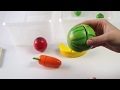Zimane Kurdi Fêkî U şînkayî Learn Kurdish Fruits And Vegetables 