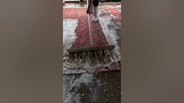 Foam scraping #41 #satisfying #asmr #carpetcleaning.