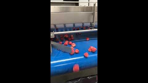 Roller Sorter for frozen strawberry