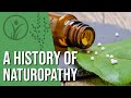 What is naturopathy  history explained