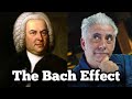 The bach effect what the greats hear that you dont