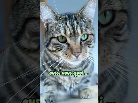 Petitou toujours aussi agréable !