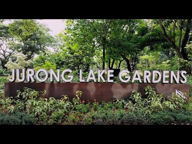 Thumbnail for YouTube video