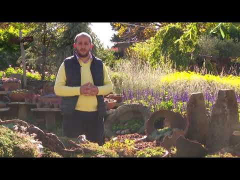 ეთნოფორი • etnopori (ანონსი / რიგით 120-ე) 23.11.2017წ