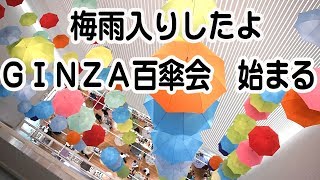 ＧＩＮＺＡの百傘会始まる「気持ちは晴れるように」