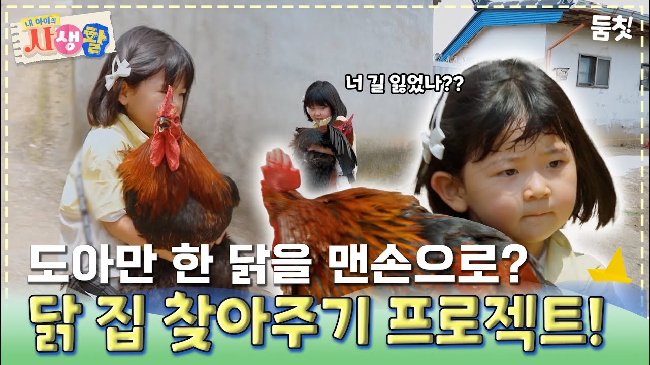 도아만 한 닭을 맨손으로? 닭 집 찾아주기 프로젝트!｜ [#내아이의사생활 EP.33] #둠칫