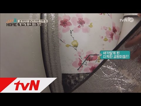 letmehome 30년된 아파트, 지하실보다 심한 곰팡이와 집먼지진드기! 160501 EP.2