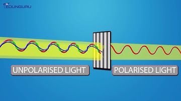 EDUNGURU IIT NEET Physics (Polarization of light) Demo Video