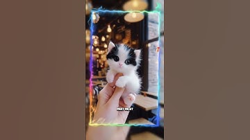 Thumbnail of Tiny Cute Kitten 🐾 Singing 🎤 apt apt Song 🎵 Lyrics #catsingingapt #cat #viralshorts #aptdance