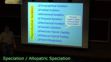 Allopatric Speciation (long version)