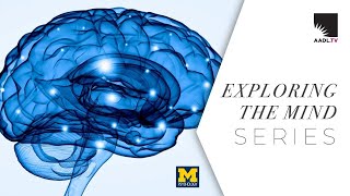 Exploring the Mind | Costs and Benefits of Testosterone in Close Relationship Contexts