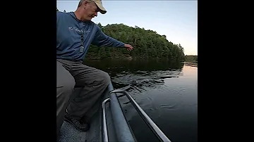 August Dry Fly Fishing For Smallmouth Bass 