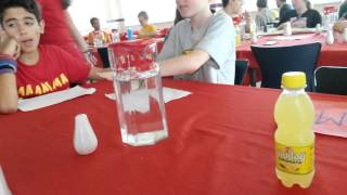 Kitos , Cisv 2015 Turkey
