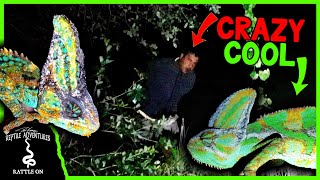 CRAZY FLORIDA MAN TRIED TO KILL US WHILE LOOKING FOR CHAMELEONS!