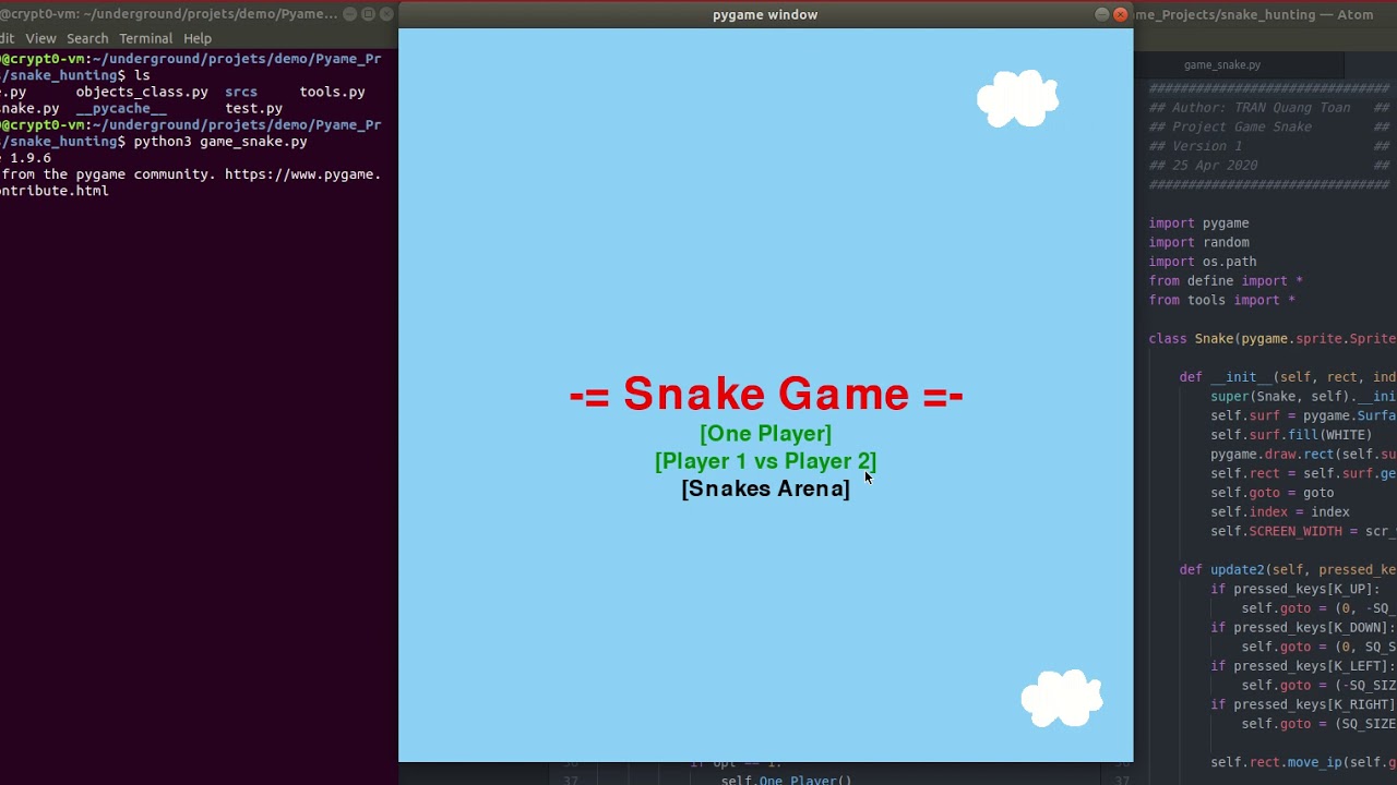 Game Snake Hunting using Python - YouTube