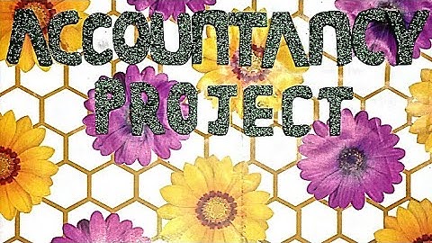 EASIEST Accountancy Project (Segment Analysis)2020 class 12