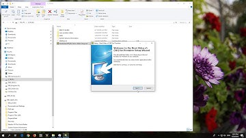 Where is "Neat Video" plugin in Premiere Pro