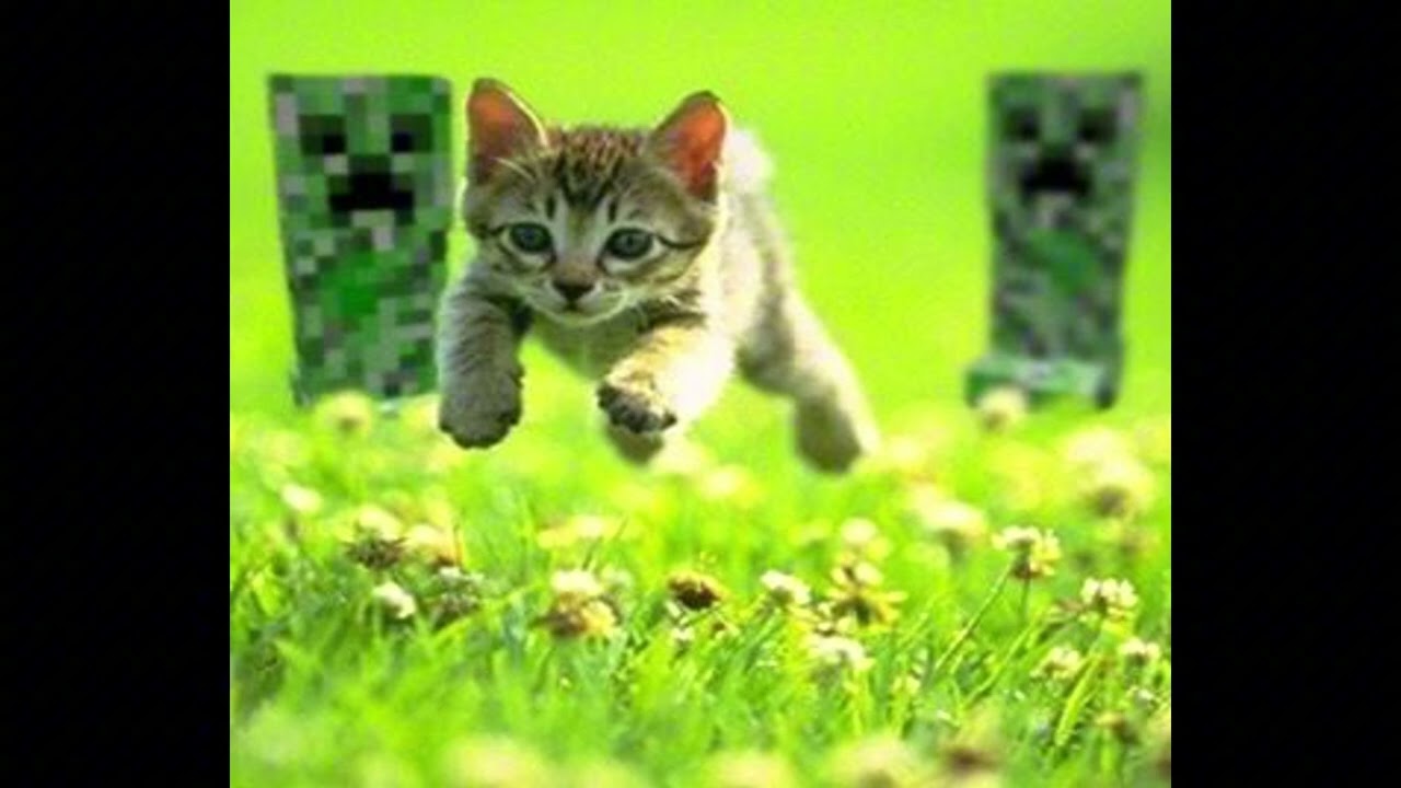 (Free For Profit) + New Xaviersobased Type Beat